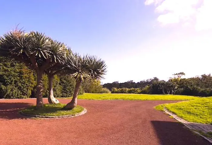 Gala Da Vittoria * 卡佩拉什