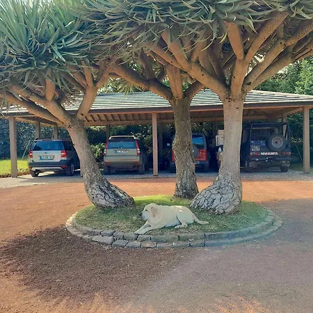 شقة Gala Da Vittoria