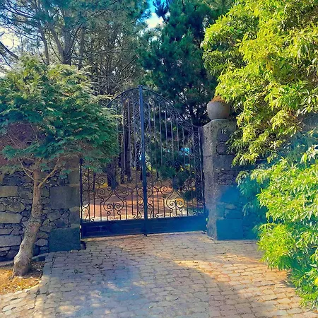 شقة Gala Da Vittoria *