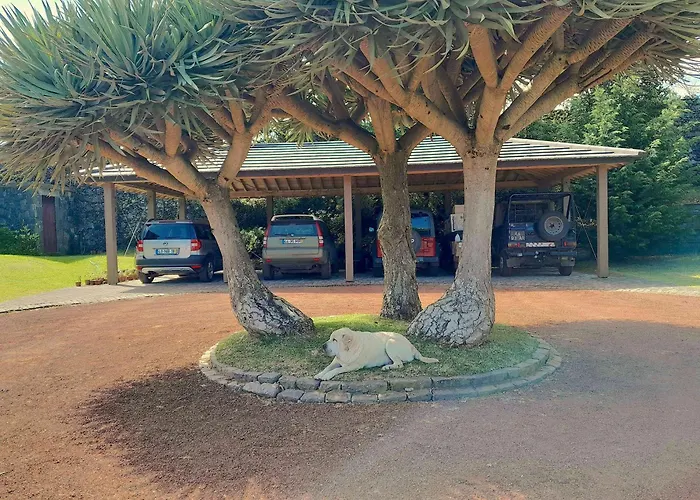 شقة Gala Da Vittoria